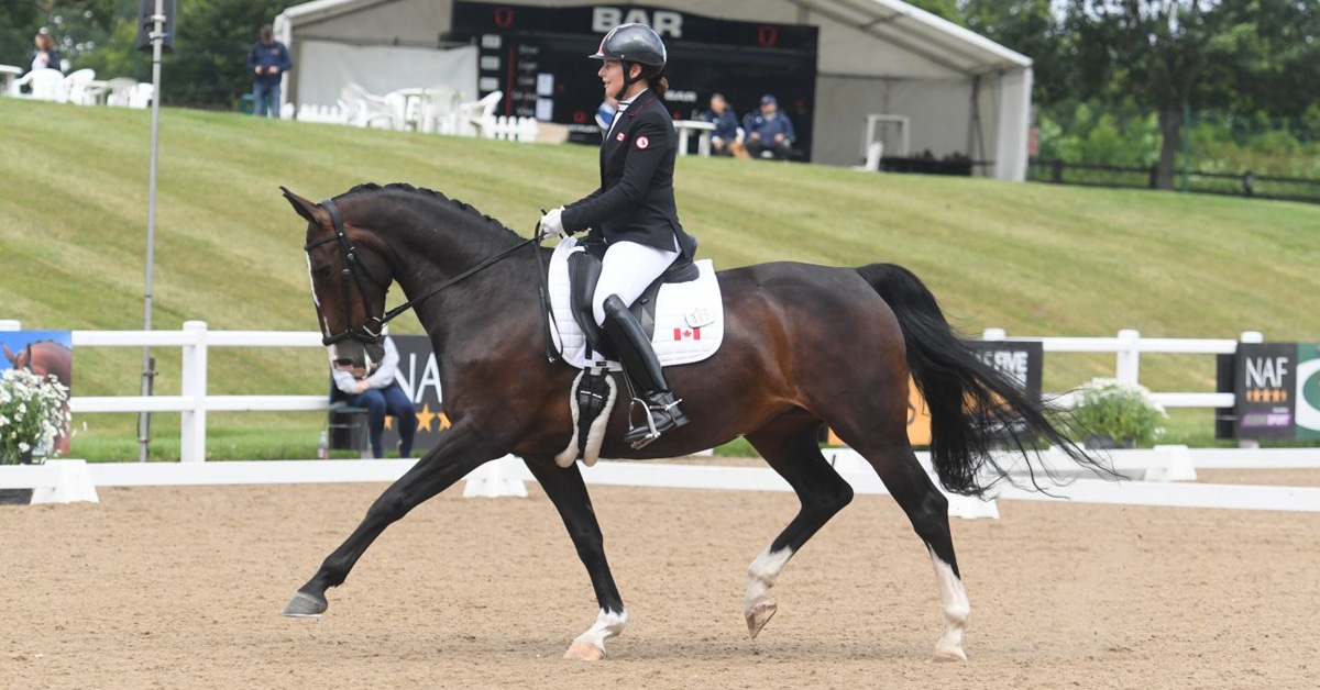 Thumbnail for Roberta Sheffield Prepping Well for Paralympic Dressage