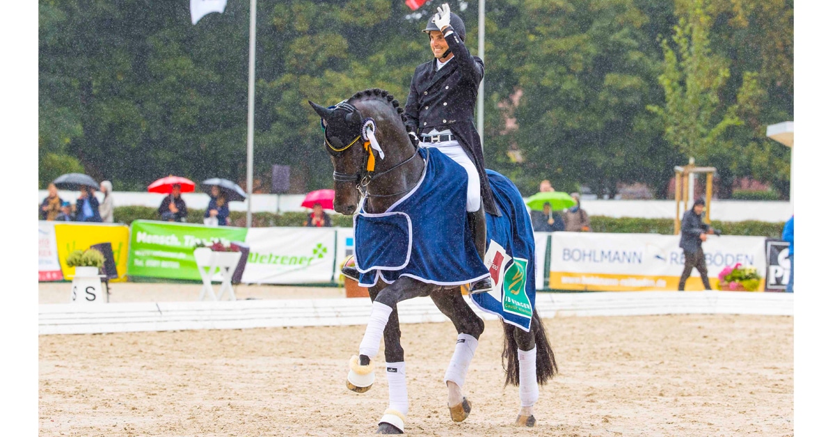Thumbnail for Dutch and Danish Stallions Steal the Show in Verden