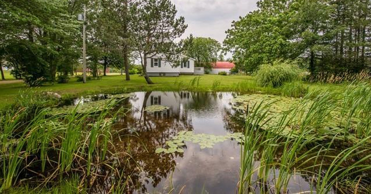 Thumbnail for $599,000 for a horse farm close to beautiful beaches in Woodside, NB