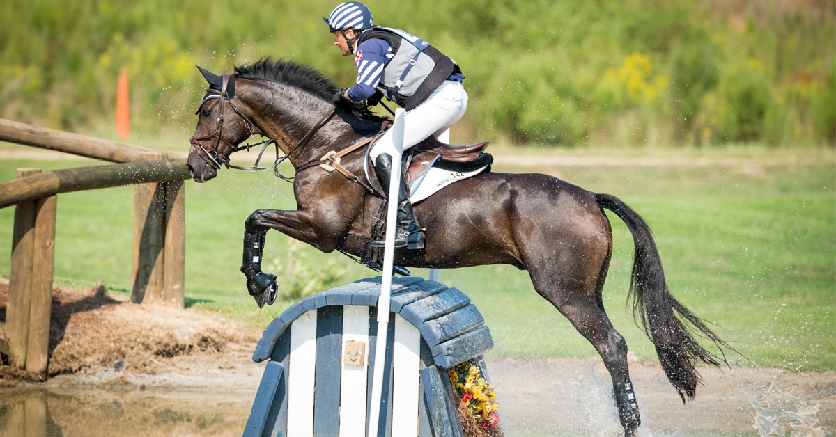 Thumbnail for Triumphs and Tributes at Tryon Fall Horse Trials