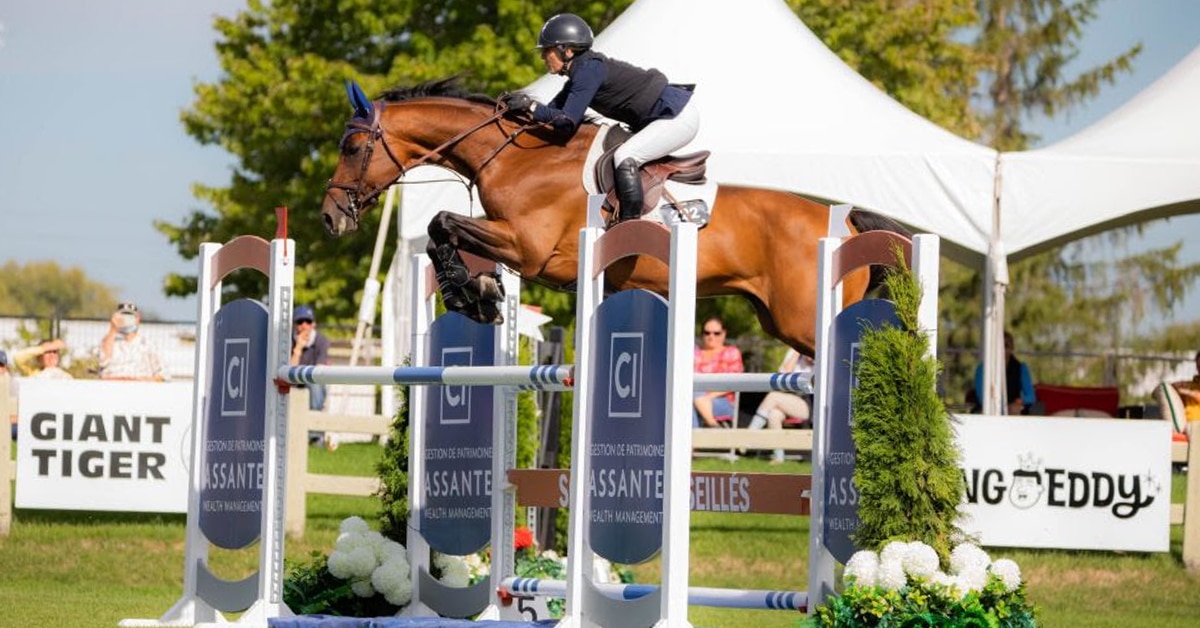 Thumbnail for Lauren Hayes and Golden Boy Win $20,000 Grand Prix in Ottawa