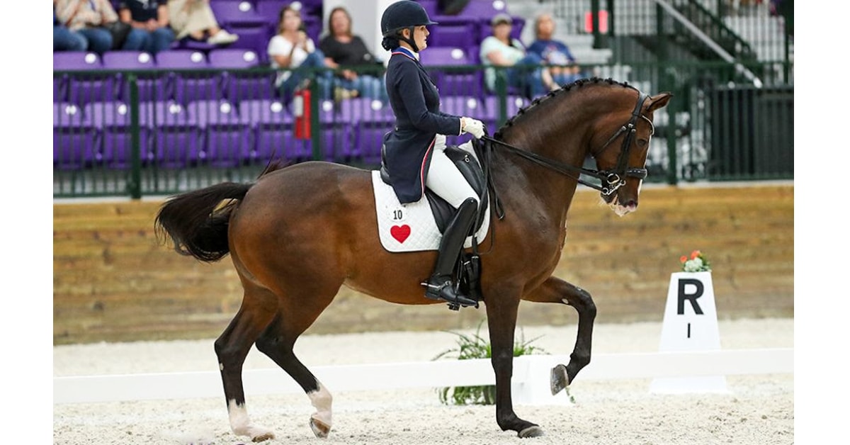 Thumbnail for Ashley Holzer and Havanna 145 Win Grand Prix Freestyle at WEC