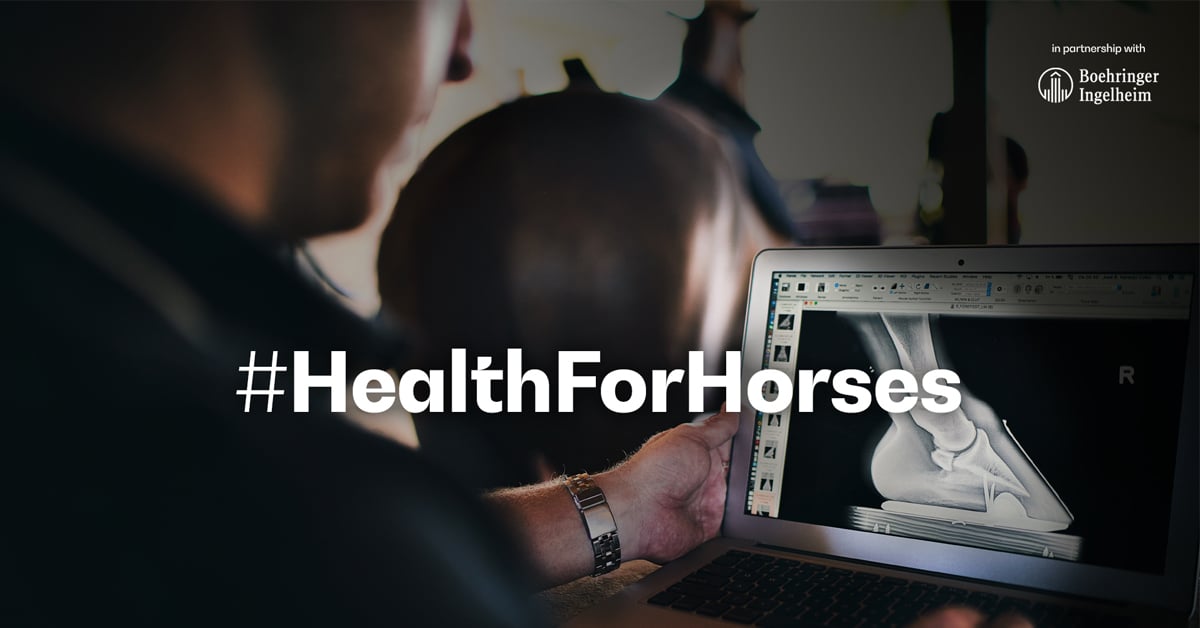 Thumbnail for #HealthforHorses Campaign Launched by FEI and Boehringer Ingelheim