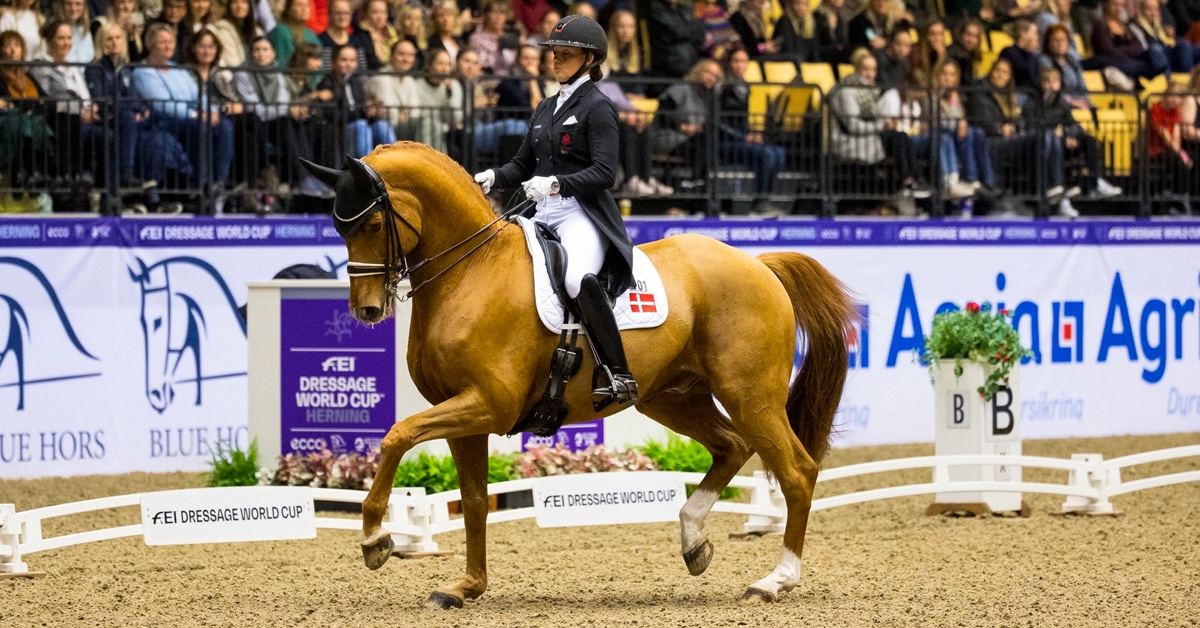 Thumbnail for Cathrine Dufour and Cassidy Steal the Show at Herning