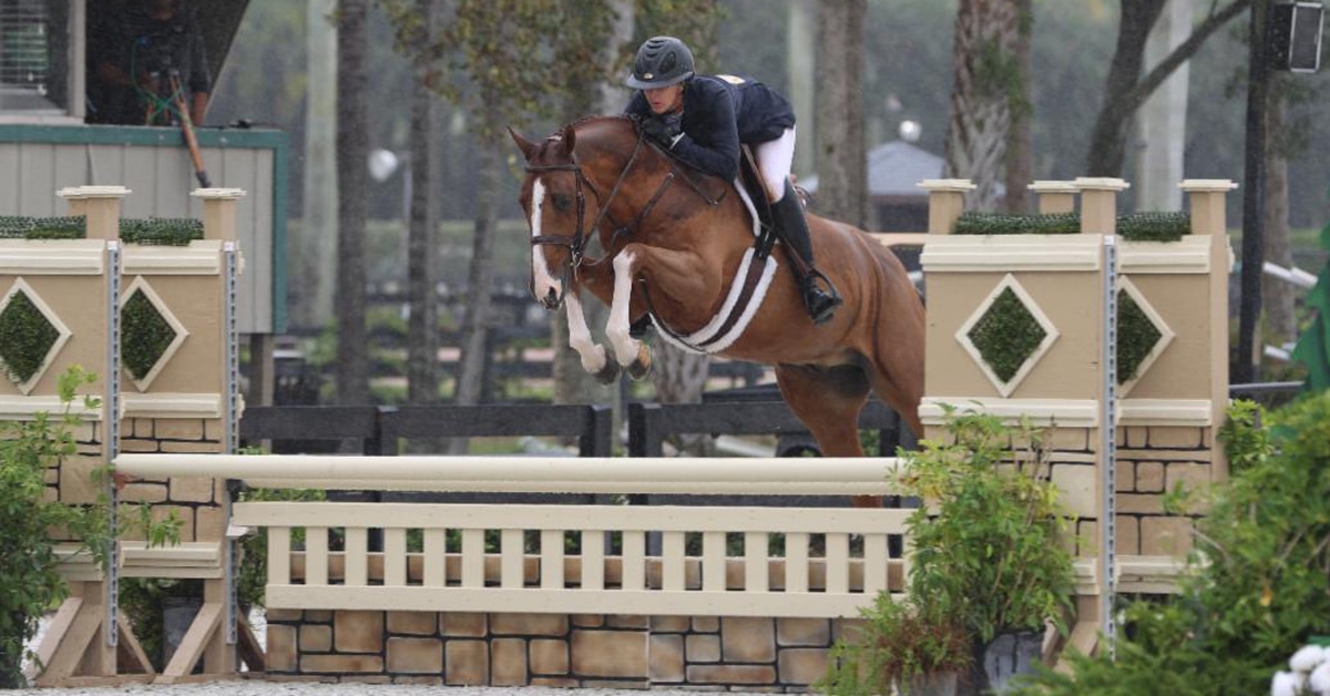 Thumbnail for Kelly Soleau-Millar and Abel Crawford Win $2,500 USHJA National Hunter Derby