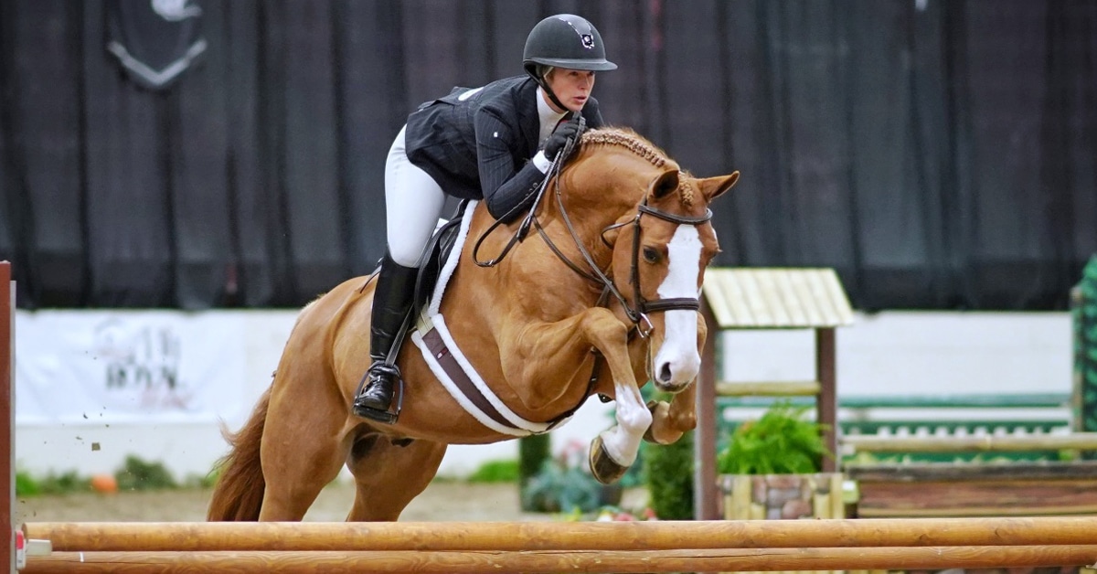 Thumbnail for Taylor Brooks Wins Canadian Hunter Derby Championship at Royal West