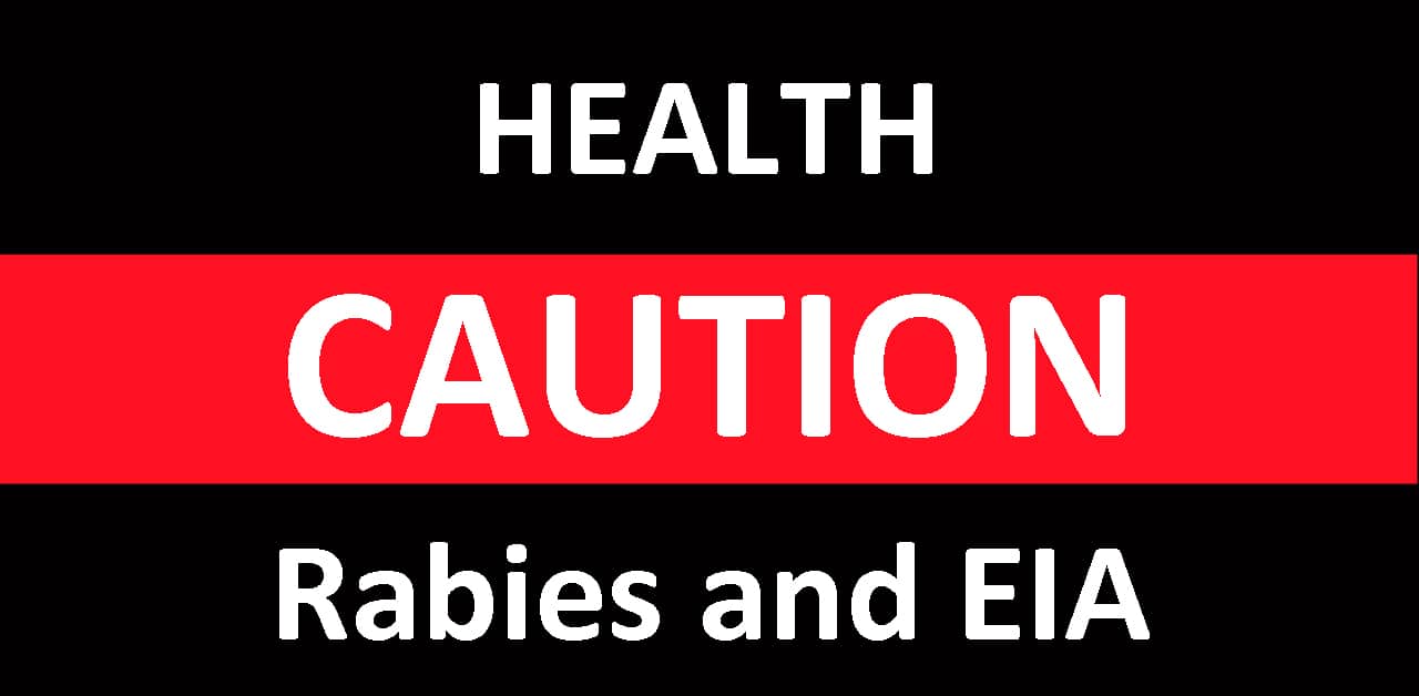 Thumbnail for Equine Health Alerts: EIA and Rabies on Canadian Farms