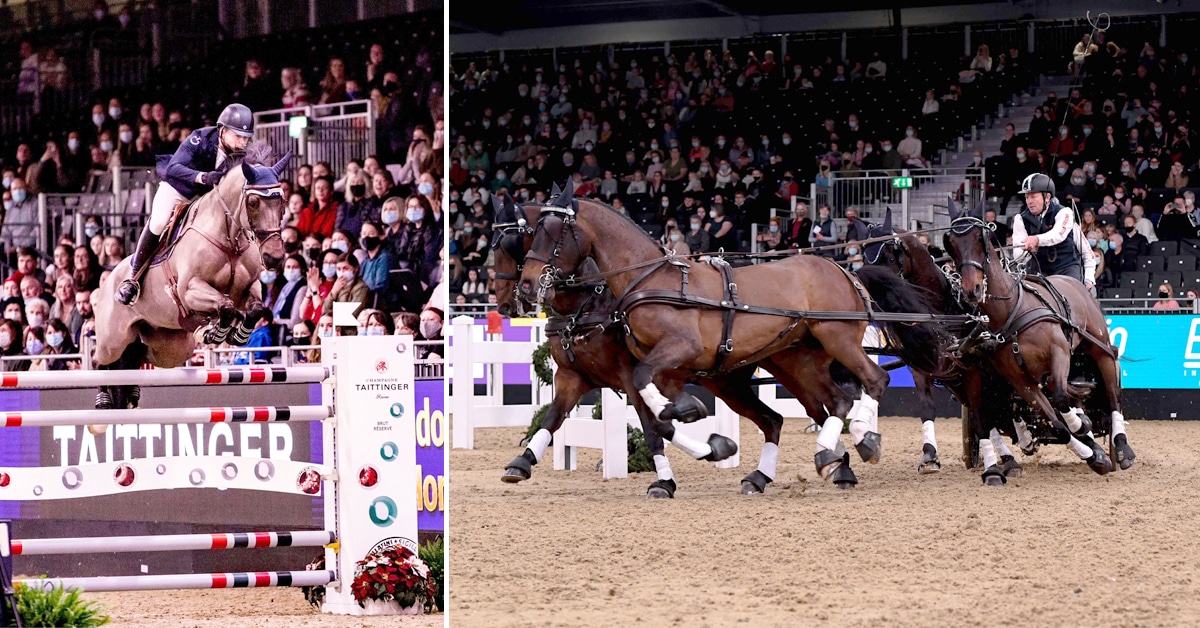 Thumbnail for London International Horse Show Friday Report