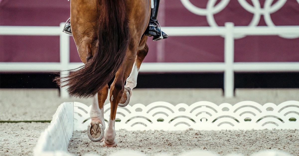 Thumbnail for Equestrian Sport Included in Los Angeles 2028 Olympic Program