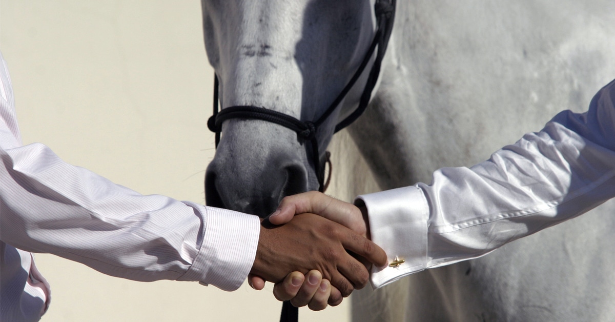 Thumbnail for EU Consumer Law Protection Can Affect International Horse Trade