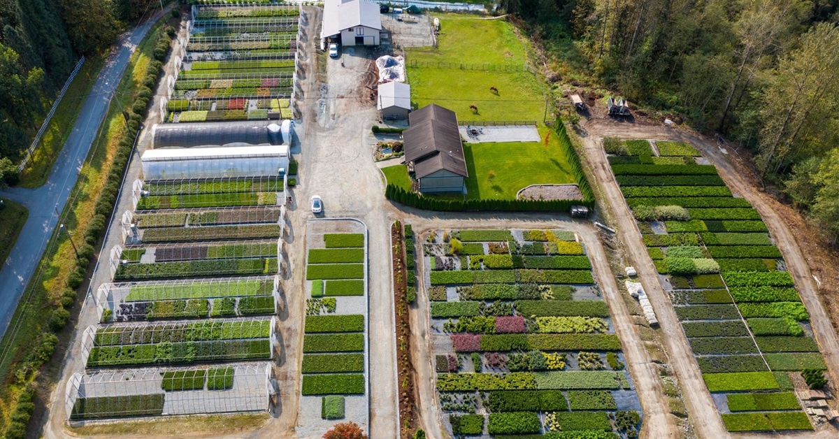 Thumbnail for $4,500,000 for a thriving nursery business with room for horses in Maple Ridge, BC