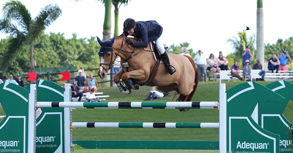 Thumbnail for Ward and Contagious Win WEF Challenge Cup Round IV