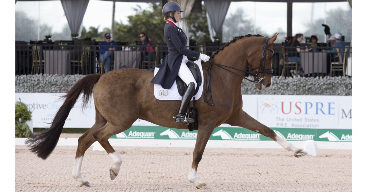 Thumbnail for Canadian Roundup at Palm Beach Dressage Derby