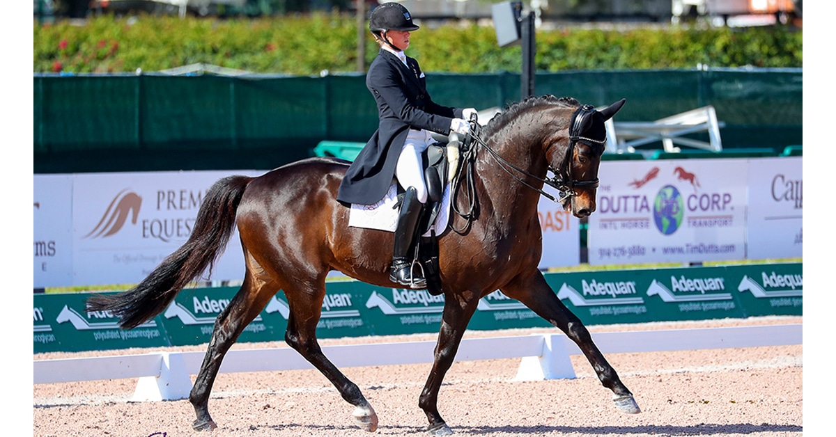Thumbnail for Canadian Dressage Teams Announced For Nations’ Cup