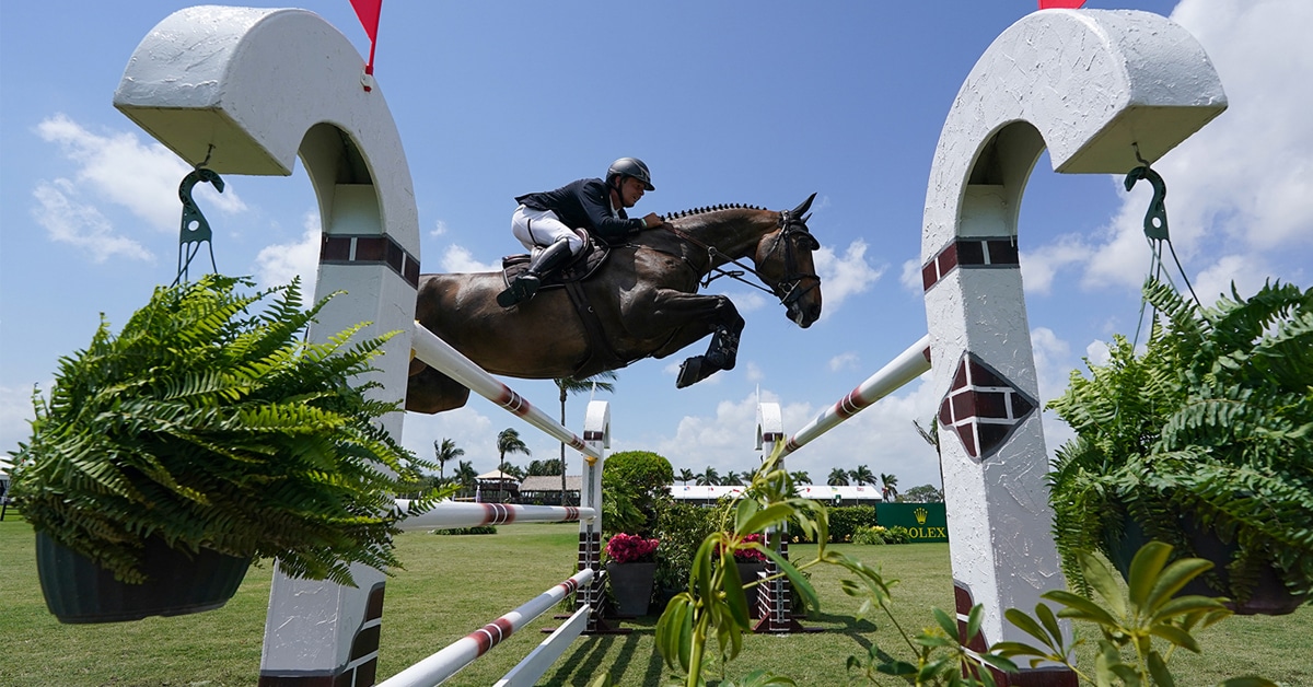 Thumbnail for Allen Wins, Foster 4th in $140,000 WEF Challenge Cup XII