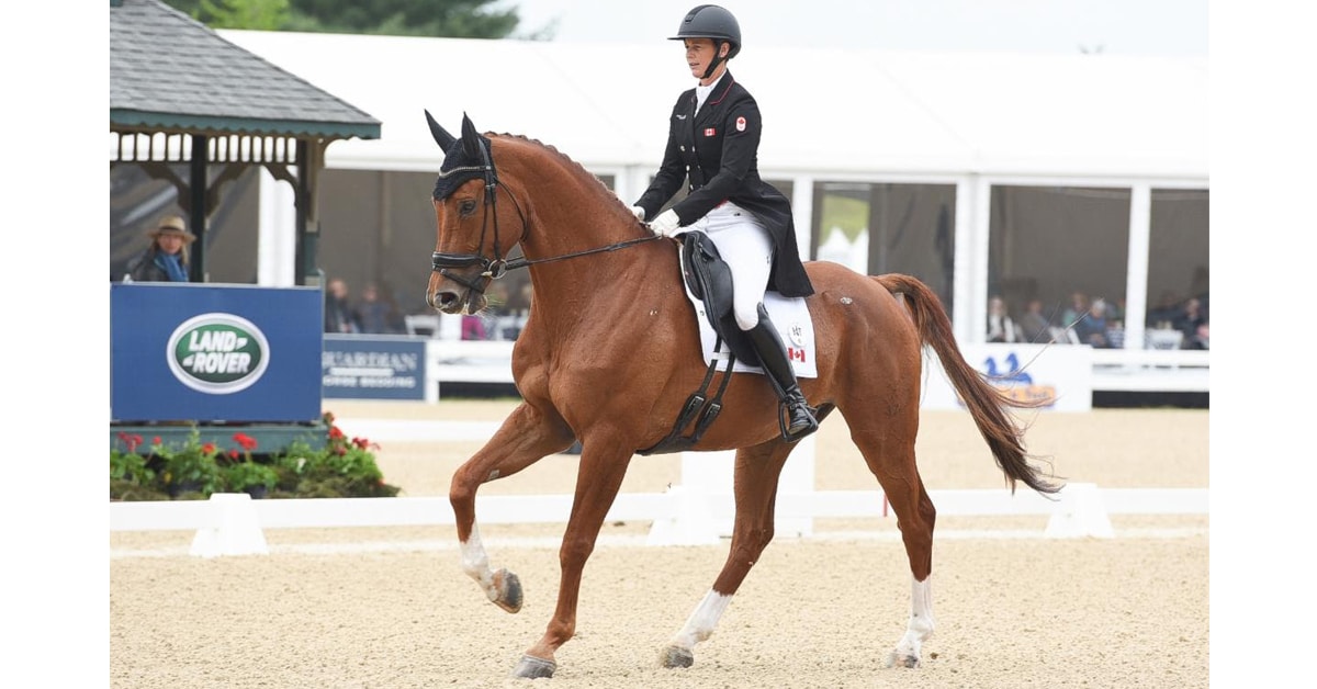 Thumbnail for Colleen Loach Sitting Second After CCI4*-S Dressage