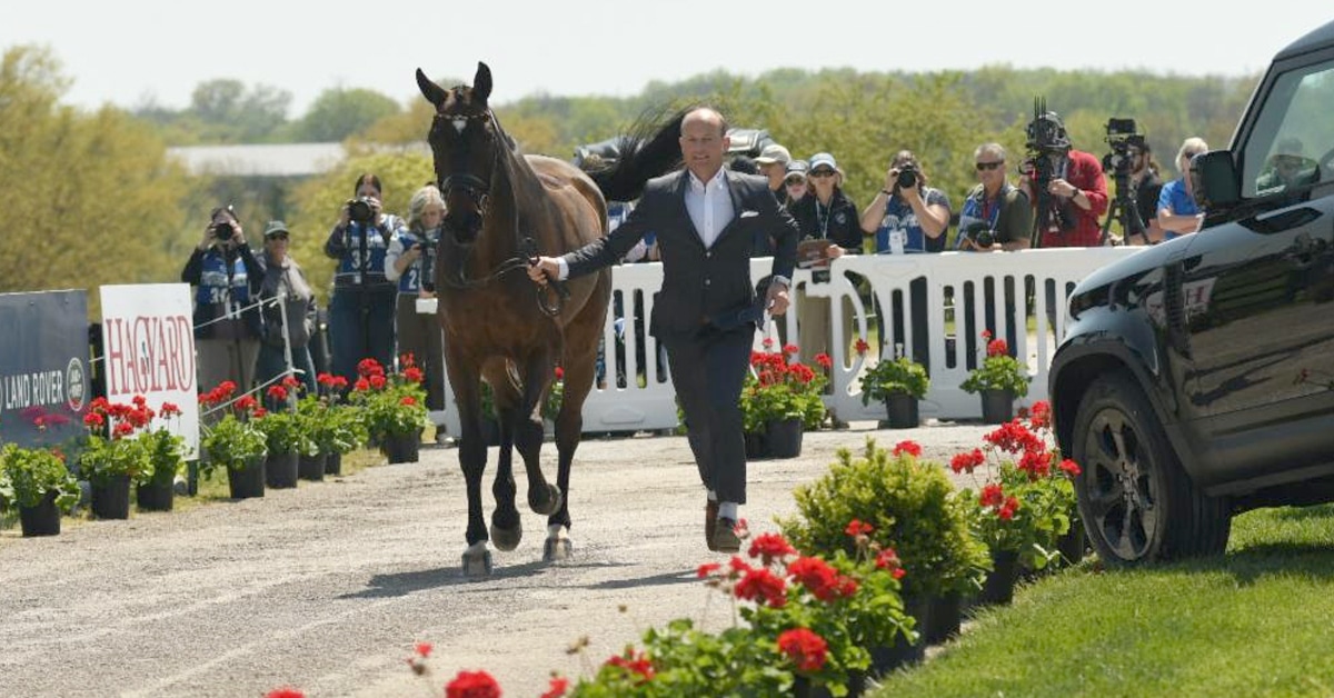 Thumbnail for CCI5*-L Horses All Pass Inspection