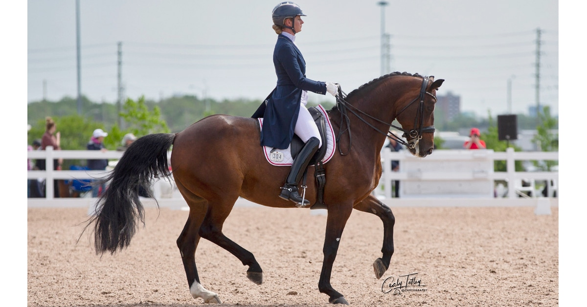 Thumbnail for Ottawa Dressage Show Weathers the Storm