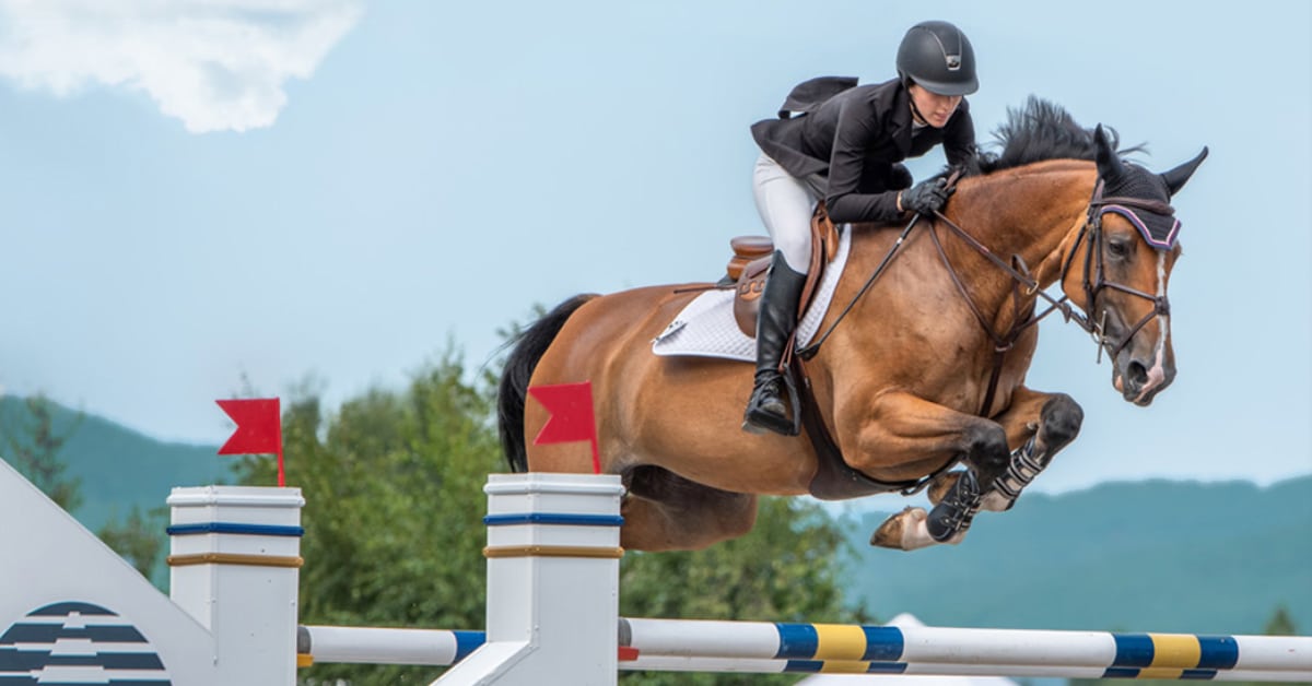 Thumbnail for Bromont International Downgraded to National Show