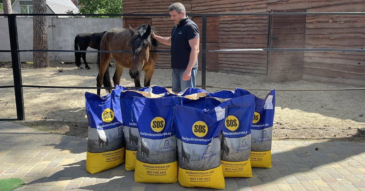 Thumbnail for UEFCF Produces Specialized Horse Feed in Ukraine