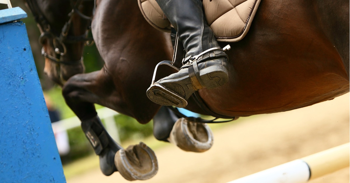 Thumbnail for Improvements Needed in Equestrian Sport