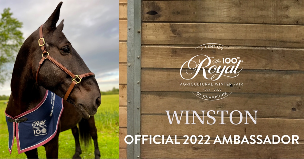 Thumbnail for Meet Winston, The 2022 Royal Ambassador