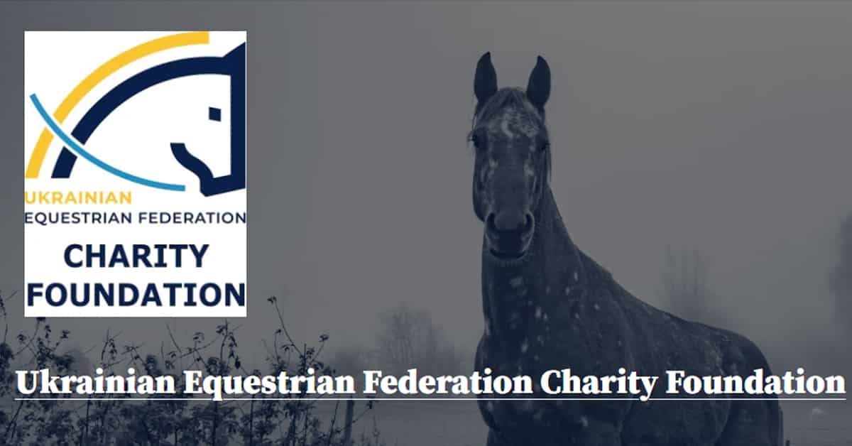 Thumbnail for Ukraine Horses Continue to Need Your Help