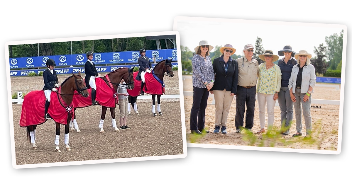 Thumbnail for Caledon Dressage CDI 2* at Angelstone