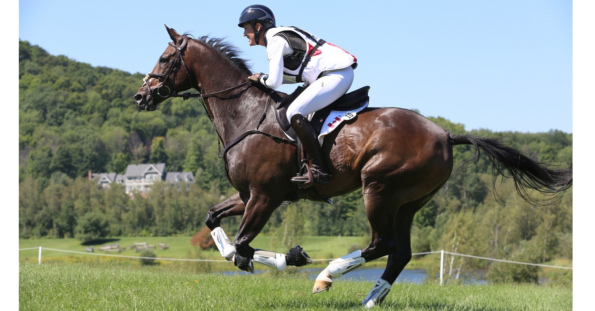 Thumbnail for Canada 2nd, Team USA Wins Eventing Nations Cup at Bromont