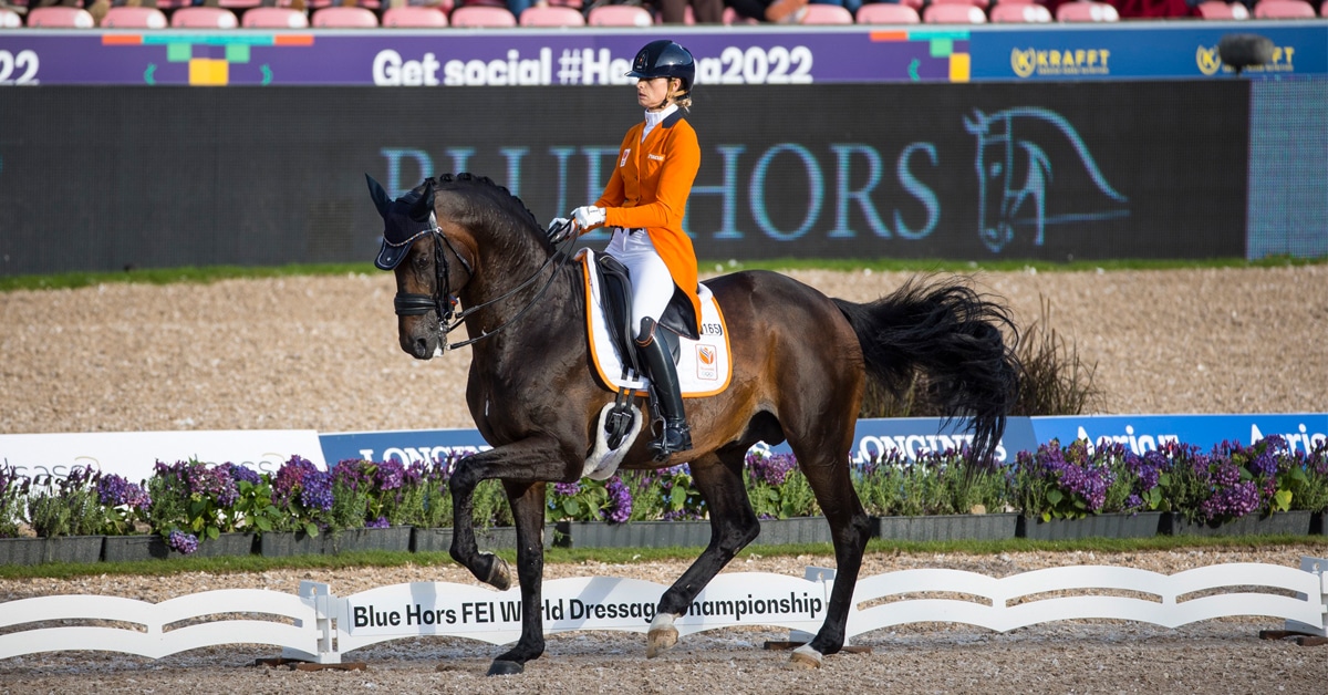 Thumbnail for Dutch Get the Edge on Dressage Day One