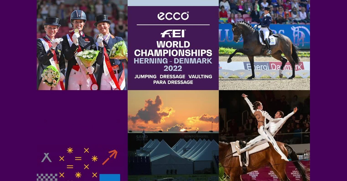 Thumbnail for Herning Cheat Sheet: What You Need to Know