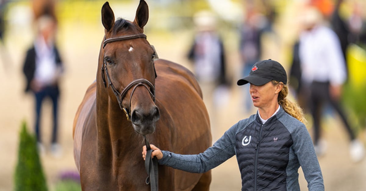 Thumbnail for Canadian Show Jumpers Set to Compete at Worlds
