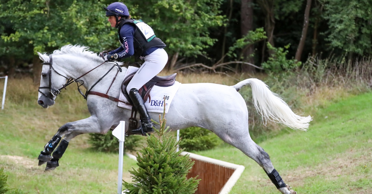 Thumbnail for Greys Rule at Blenheim International Horse Trials