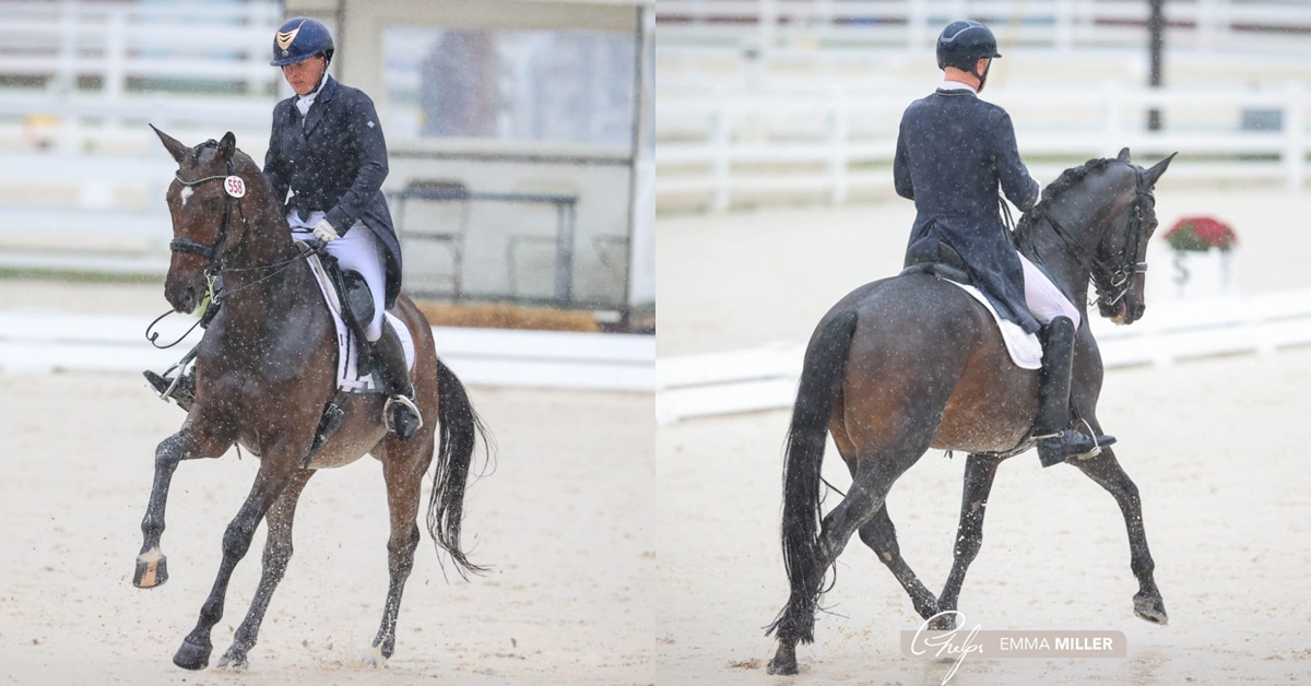 Thumbnail for Dressage at Devon Concludes with Freestyles