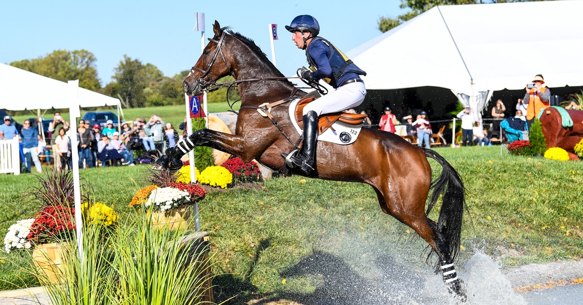 Thumbnail for Tim Price Claims Fifth 5* Victory at Fair Hill