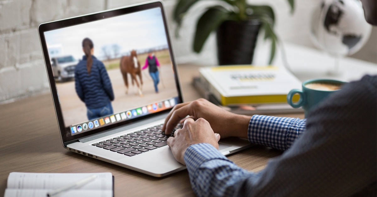 A person watching a horse being trotted for soundness on his computer.