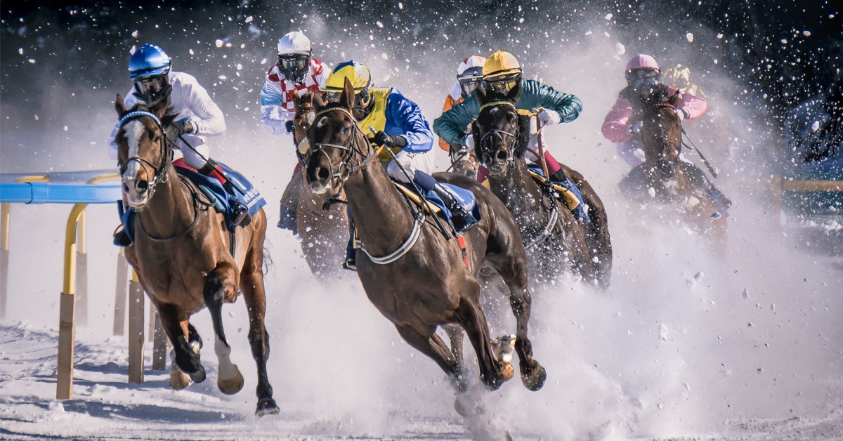 Horse Racing in Winter