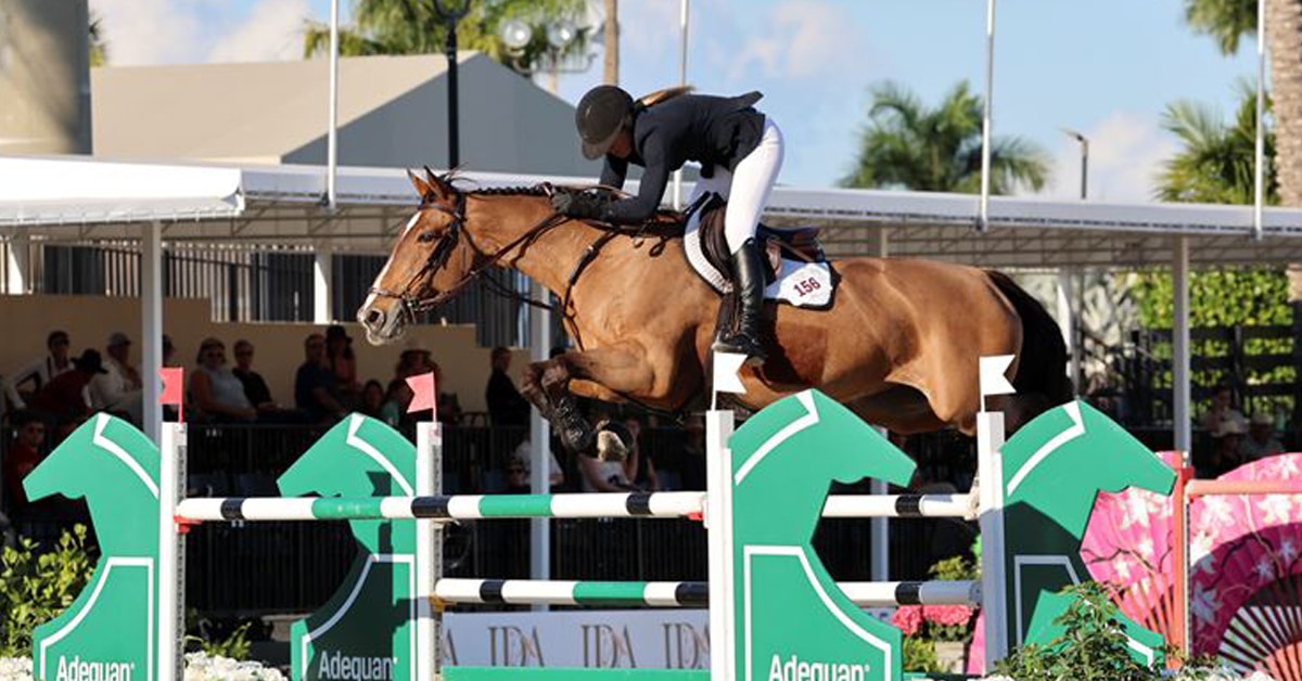 Thumbnail for Scheiring Takes WEF Challenge Cup Round 1