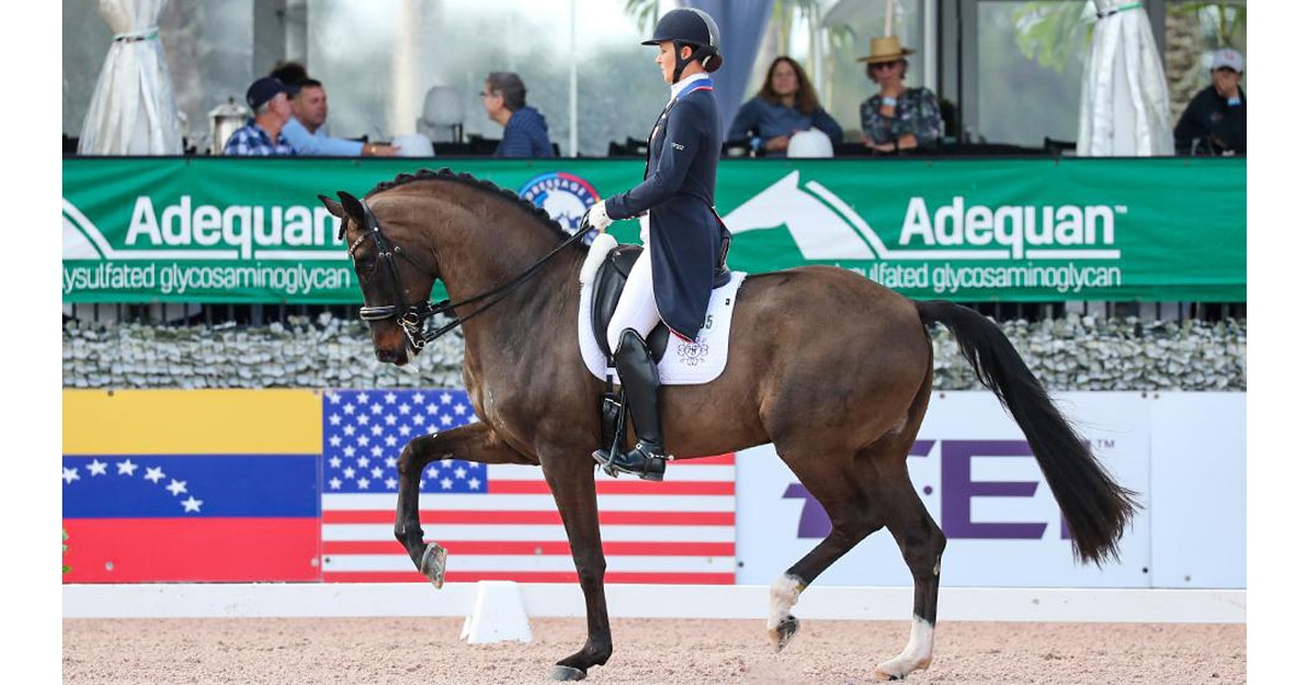 Thumbnail for Global Dressage Festival 2023 Gets Underway