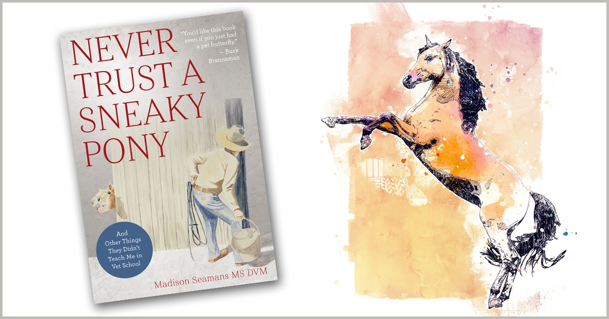 Cover of the book Never Trust a Sneaky Pony.