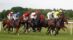 A group of horses racing on a grass track.