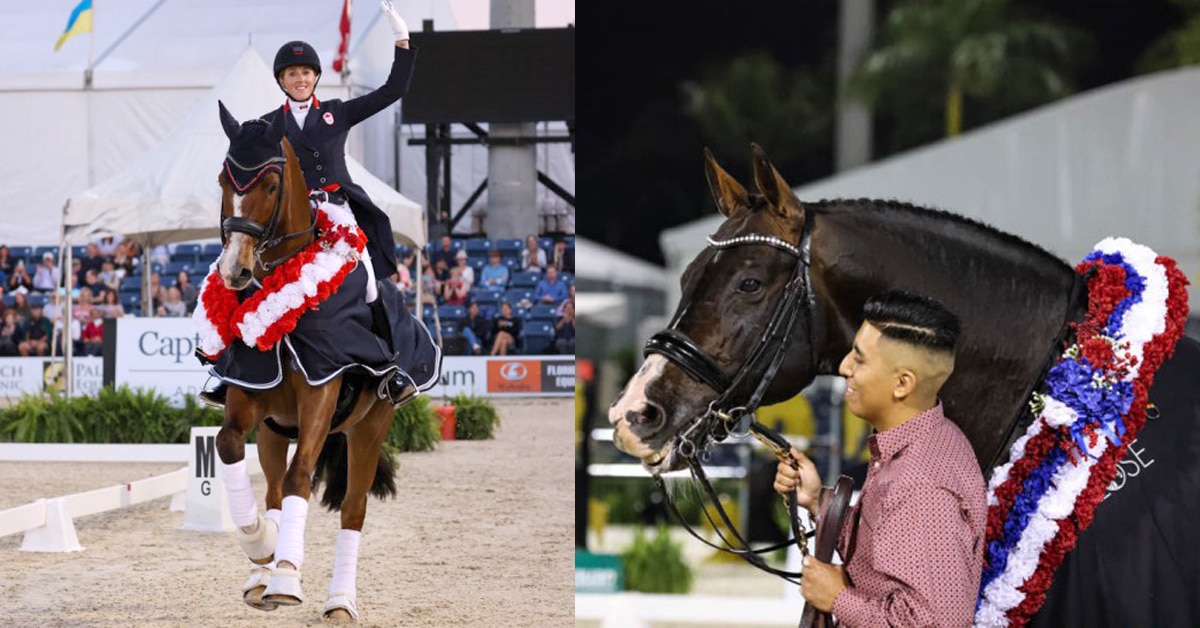 Thumbnail for Pair of Dressage Legends Retire at AGDF