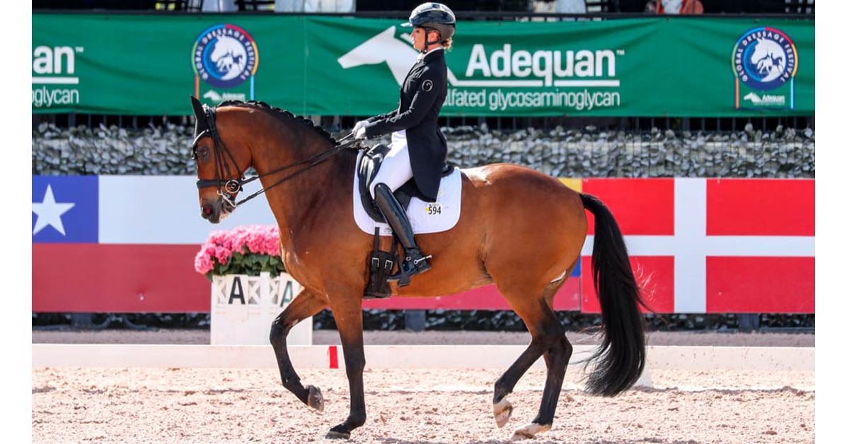 Thumbnail for Barbançon is Best with Bolero in AGDF Grand Prix