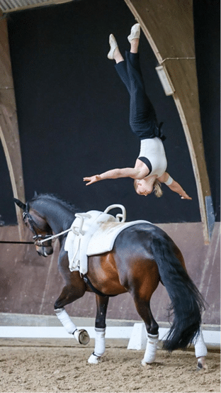Vaulter Averill Saunders doing a flying dismount off a bay horse.