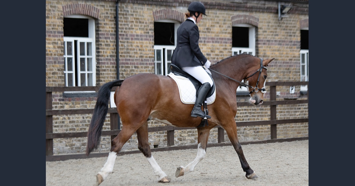 A woman riding dressage with a bitless bridle.
