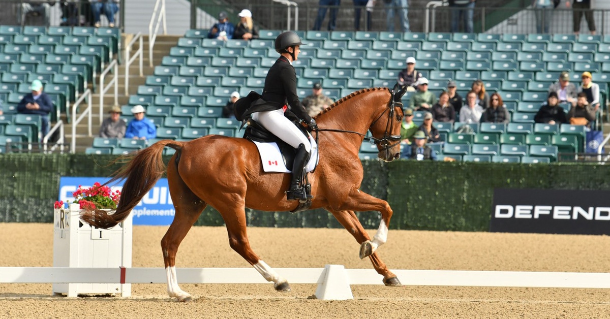 Colleen Loach and Vermont performing their dressage test.