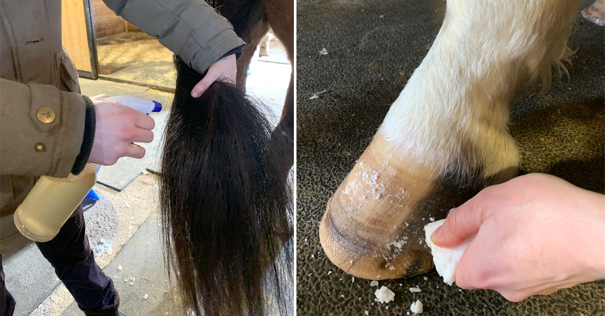 (Left) Add two tablespoons of Argan oil to half a cup of apple cider vinegar and a cup of water to make a leave-in conditioner spray; (right) use a solid piece of coconut oil on the hoof as a DIY conditioner. (Charlie Fiset photos)