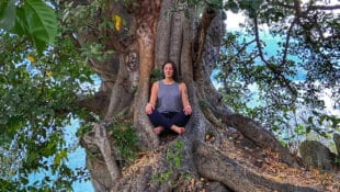 A woman meditating at t he base of a large tree.