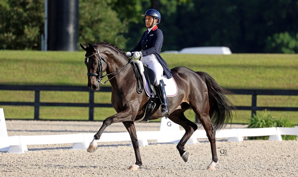 Jill Irving and Delacroix 11 competing in a dressage arena in Ocala.
