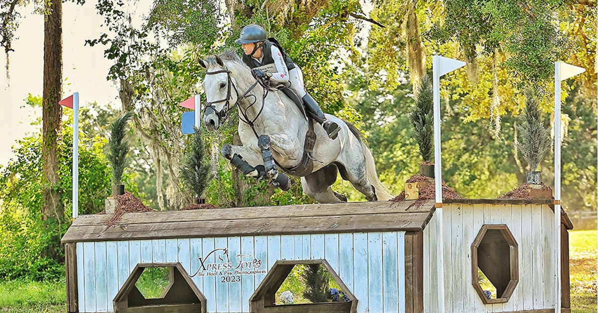 A grey eventing horse jumping a cross-country fence in Florida.